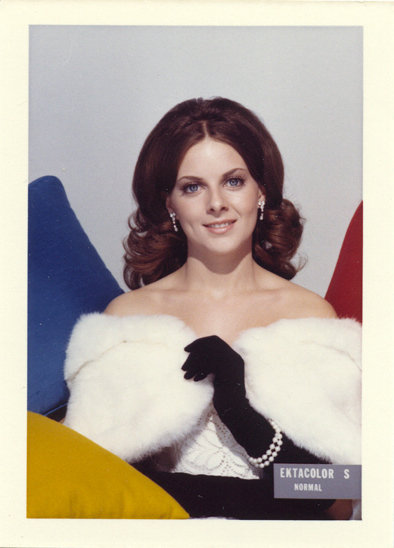 the "Shirley card"