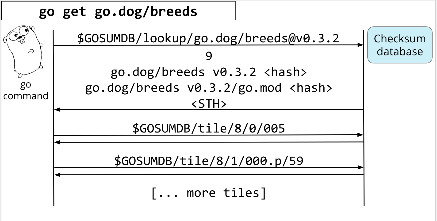 Go module proxy life of a query 102