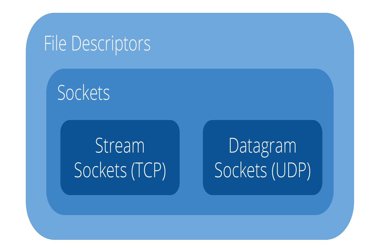 Sockets
